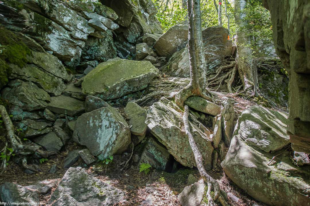 Red Trail Rock Scramble